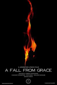 A Fall from Grace 2020 one on netflix