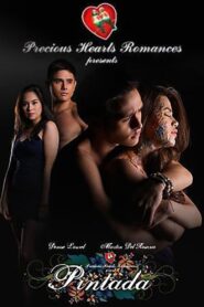 Pintada 2012 one on netflix