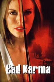 Bad Karma 2002 one on netflix
