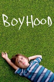 Boyhood 2014 one on netflix