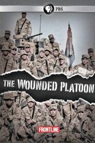 The Wounded Platoon 2011 one on netflix