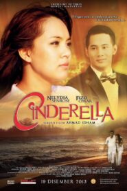 Cinderella 2013 one on netflix