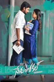 Nenu Local 2017 one on netflix