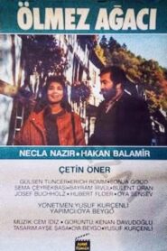 Ölmez Ağacı 1984 one on netflix