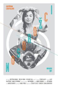 Rhinoceros 2016 one on netflix