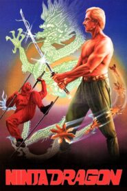 Ninja Dragon 1986 one on netflix