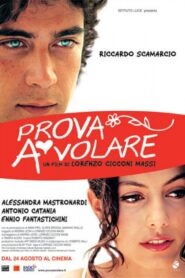 Prova a volare 2007 one on netflix