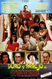 Duro y Parejo en La Casita del Pecado 1987 one on netflix