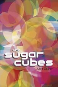 The Sugarcubes: Live Zabor 2006 one on netflix