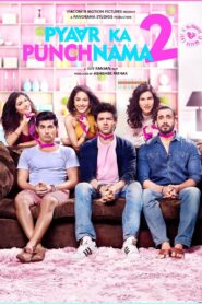 Pyaar Ka Punchnama 2 2015 one on netflix
