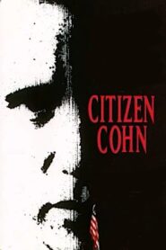 Citizen Cohn 1992 one on netflix