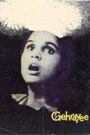 Gehrayee 1980 one on netflix
