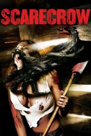 Scarecrow 2013 one on netflix