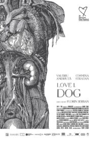 Love 1. Dog 2018 one on netflix