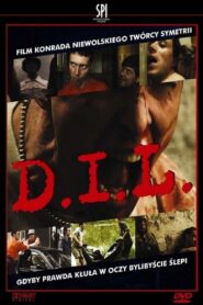 D.I.L. 2002 one on netflix