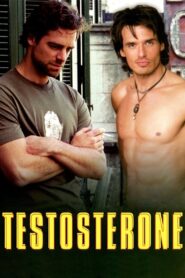 Testosterone 2003 one on netflix