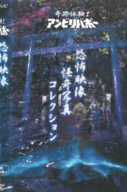 Kiseki Taiken! Anbiribabō: Kyōfu Eizō Kaiki Shashin Korekushon 1999 one on netflix