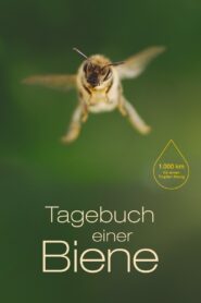 Diary of a Bee 2021 one on netflix