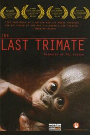 The Last Trimate 2008 one on netflix