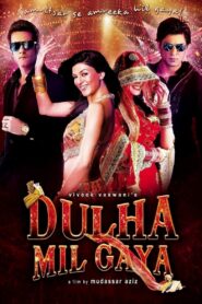 Dulha Mil Gaya 2010 one on netflix