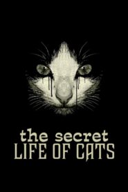 The Secret Life of Cats 2014 one on netflix