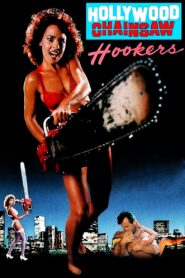 Hollywood Chainsaw Hookers 1988 one on netflix