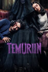 Temurun 2024 one on netflix
