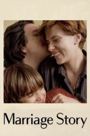Marriage Story 2019 one on netflix