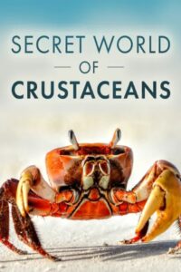 The Secret World of Crustaceans 2018 one on netflix