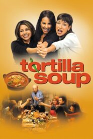 Tortilla Soup 2001 one on netflix
