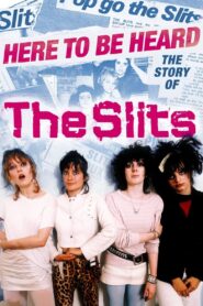 Here to be Heard: The Story of The Slits 2018 one on netflix