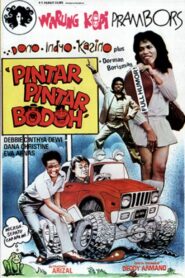 Pintar Pintar Bodoh 1980 one on netflix