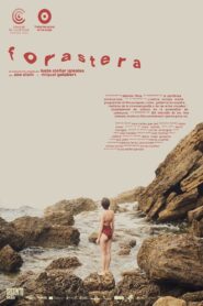 Foreigner 2020 one on netflix