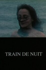 Train de nuit 1994 one on netflix