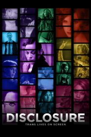 Disclosure 2020 one on netflix