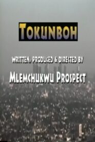 Tokunboh 1999 one on netflix