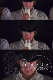 Turning Like Clockwork 2011 one on netflix