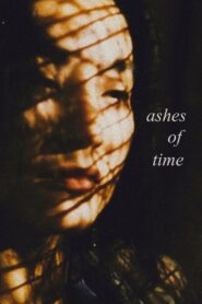 Ashes of Time 1994 one on netflix