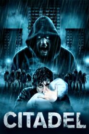 Citadel 2012 one on netflix