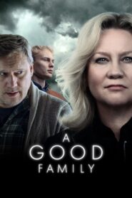 A Good Family 2022 one on netflix