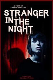 Stranger in the Night 2019 one on netflix