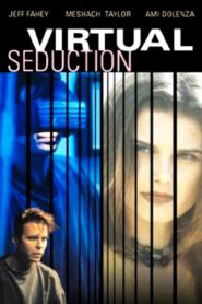 Virtual Seduction 1995 one on netflix