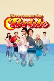 Here Comes the Bride 2010 one on netflix