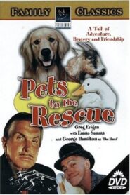 Pets 2002 one on netflix