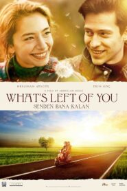 What’s Left of You 2015 one on netflix
