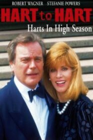 Hart to Hart: Harts in High Season 1996 one on netflix