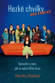 Pleasant Moments 2006 one on netflix