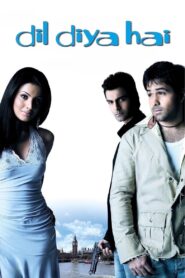 Dil Diya Hai 2006 one on netflix