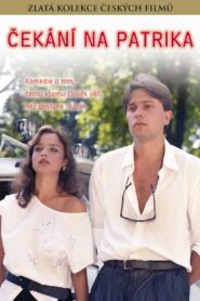 Waiting For Patrick 1990 one on netflix