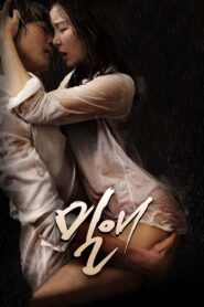 Affair 2014 one on netflix